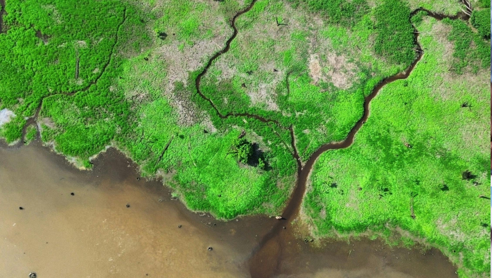 Climate Risk Advisory Services