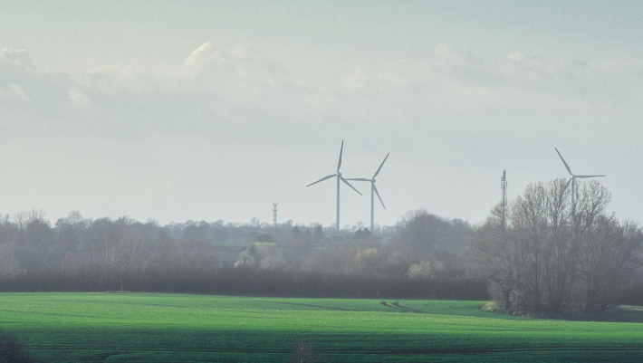 sustainability strategy advisory