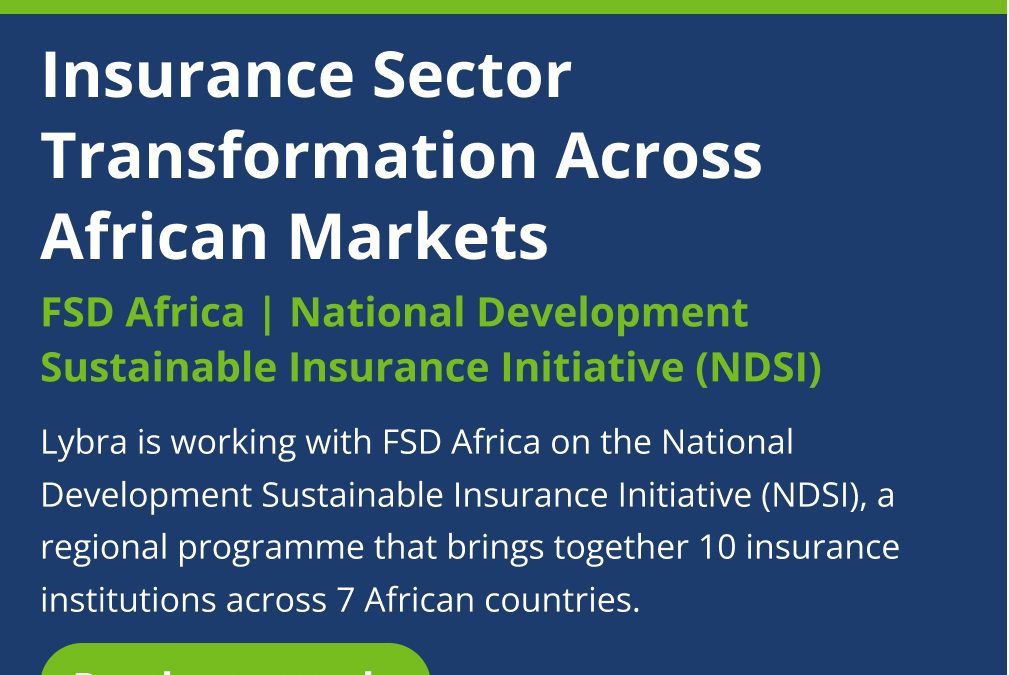 ESG Strategy, Governance & Reporting Systems